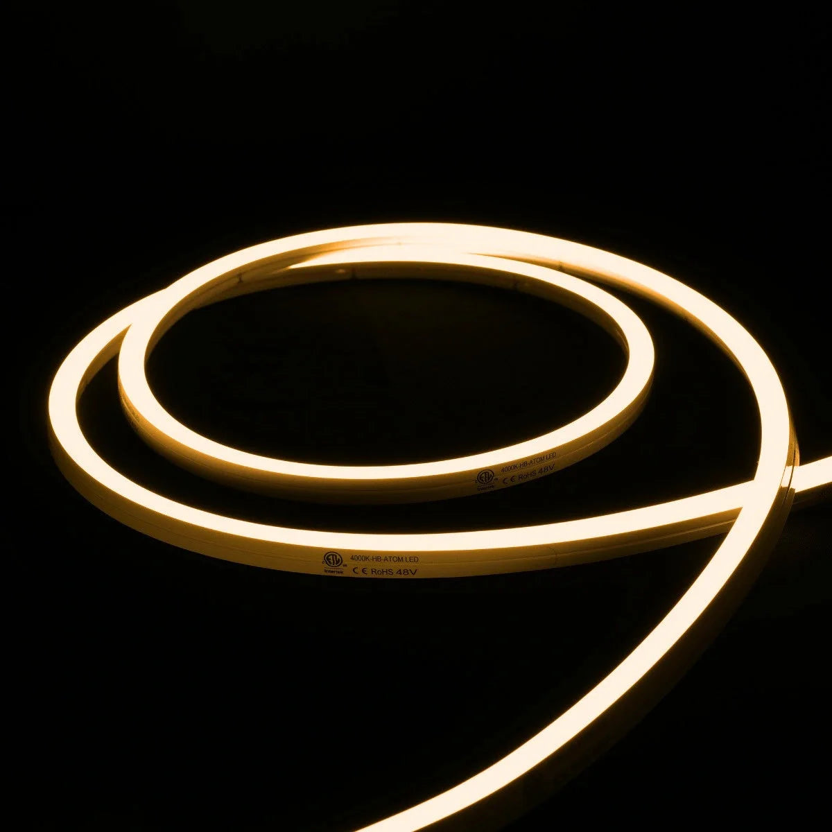 ATOM LED warm white 3000K 10x10mm side bend neon flex lighting a driveway edge in one continuous run — 48V IP67 waterproof
