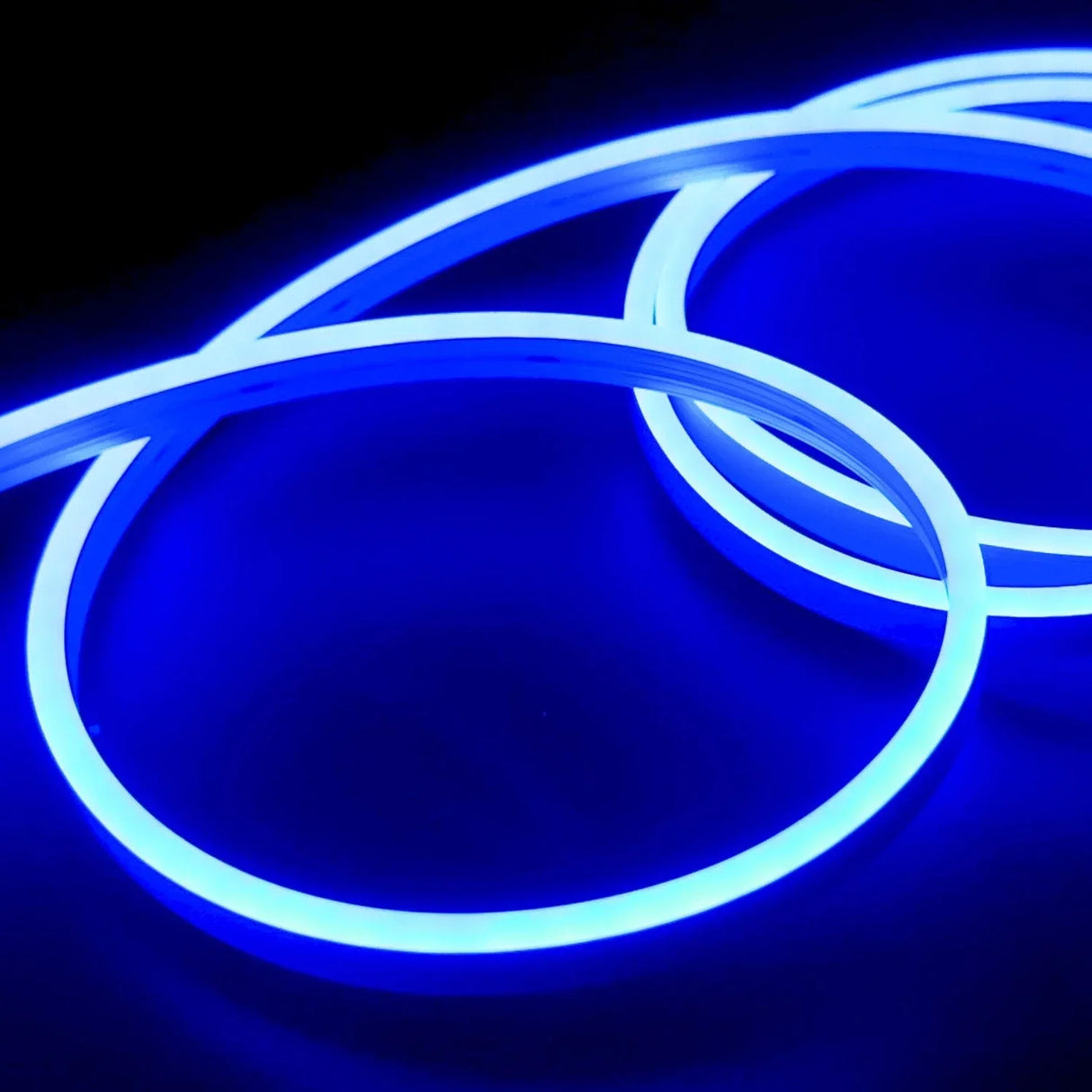 Blue LED Neon Flex 24V 8x16mm 120LEDs/m IP65 Waterproof 15m