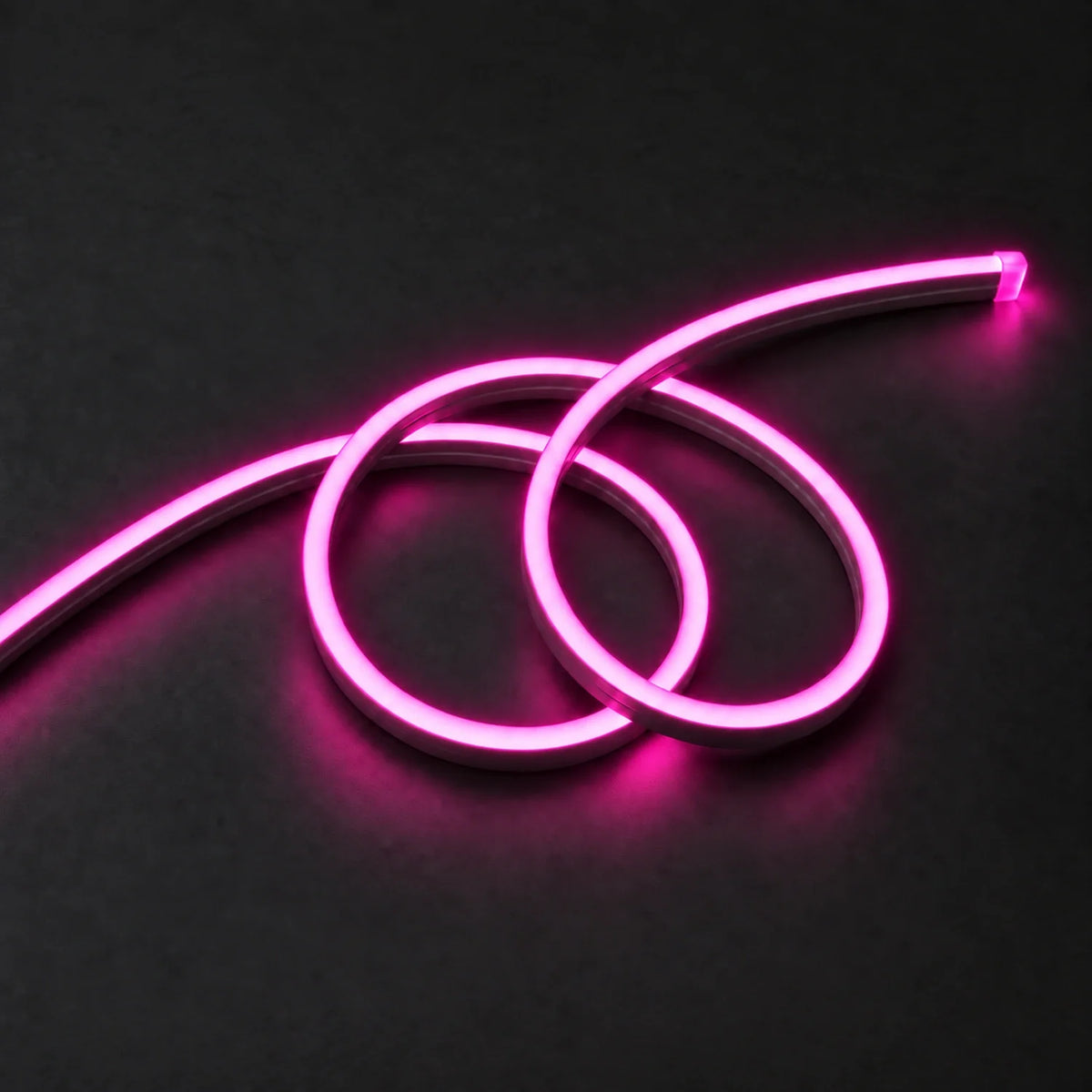 UK LED Lights pink 8×16mm 220–240V neon flex in a double-loop arrangement on dark charcoal