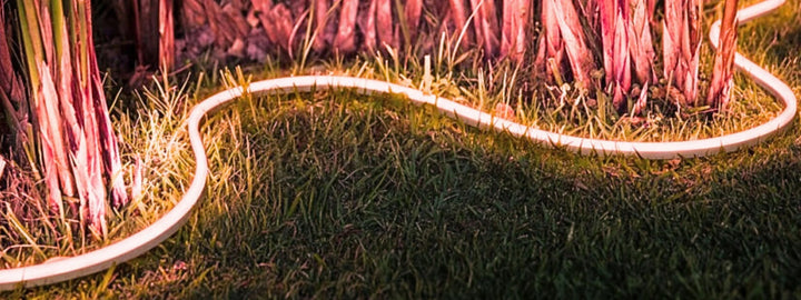 Transform Your Garden with LED Strip Lights and Neon Flex Lights