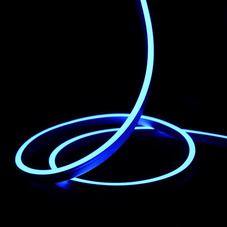 Extra Long Blue Neon Flex 48V 10x20mm IP68 Waterproof 30m
