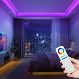 Miboxer E3-RF 2 in 1 LED RF Controller 12V-24V RGB/RGBW & RGB+CCT