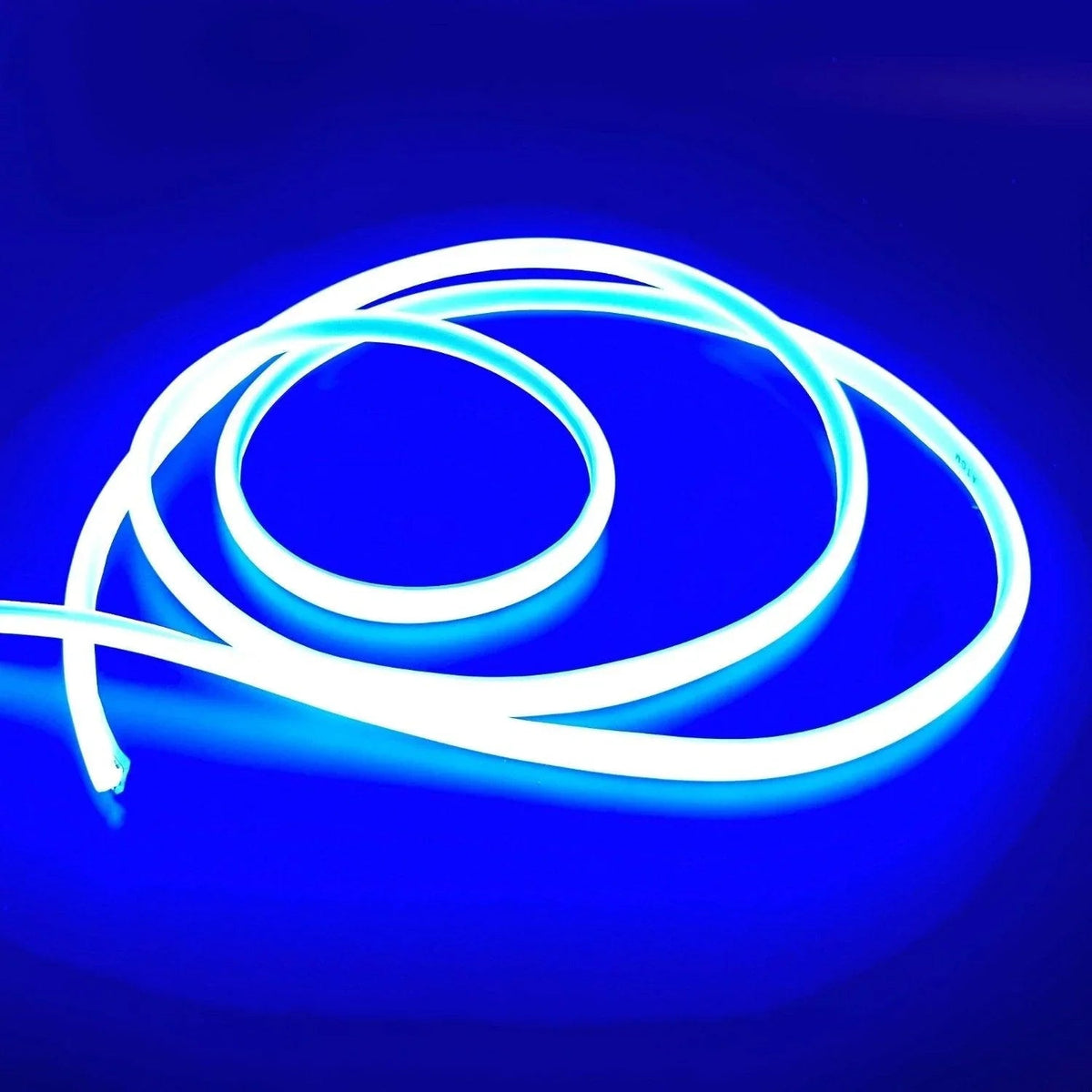 Blue COB LED Strip Light 220V 240V 288 LEDs/m IP65 with UK Plug – UK ...