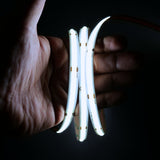 Cool White 6000K COB LED Strip 24V 480LEDs/m IP20 20m Run