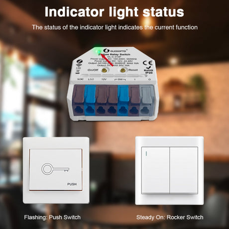 GLEDOPTO Zigbee Relay Switch AC Switch Dimmer Control Box 12V-48VDC or AC 230V GL-C-310P