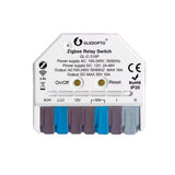 GLEDOPTO Zigbee Relay Switch AC Switch Dimmer Control Box 12V-48VDC or AC 230V GL-C-310P