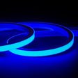 Blue Neon Flex 16x16mm 220V 240V Top Bend 120LEDs/m 20cm Cut IP65 Waterproof with UK Plug - UK LED Lights