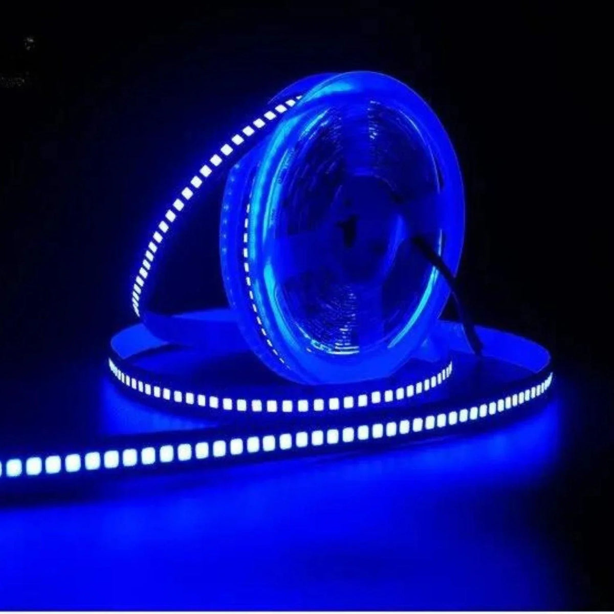 Blue Led Shop Blue Led