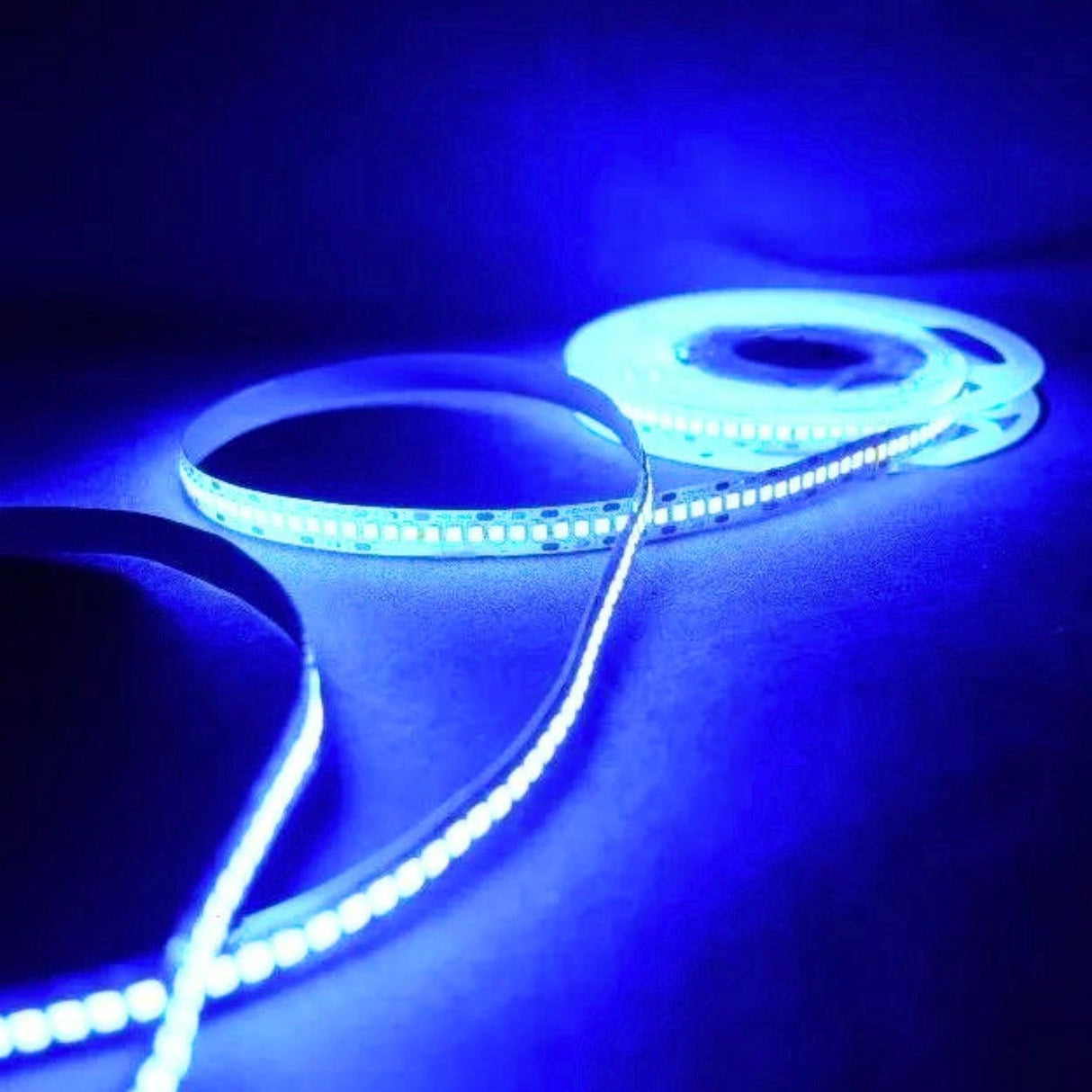 Blue LED Strip Light 12V 240 LEDs/m 1200 LEDs IP20 Non Waterproof 5 Metre Strip - UK LED Lights