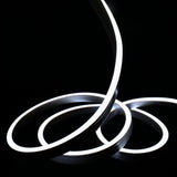 Cool White Neon Flex 6000K 48V 10x20mm IP67 Waterproof 30m