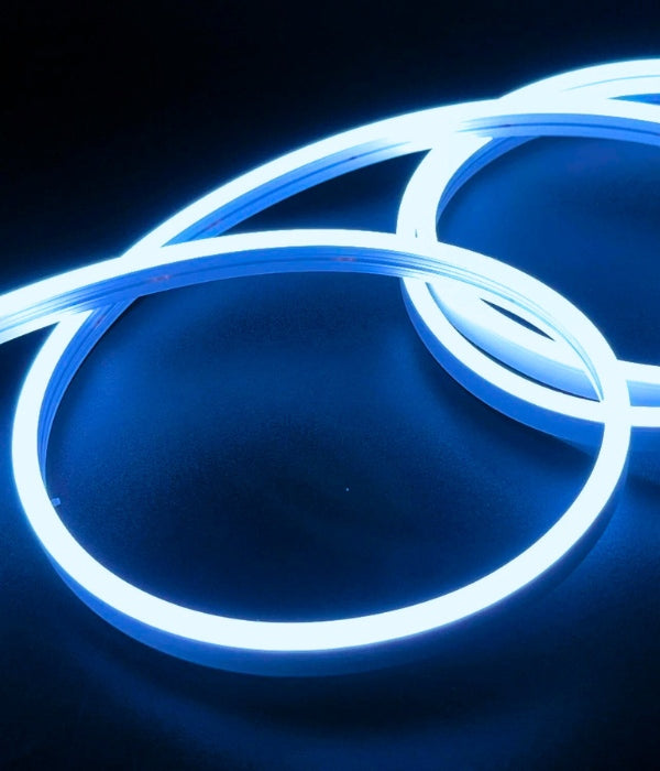 LED Neon Flex
