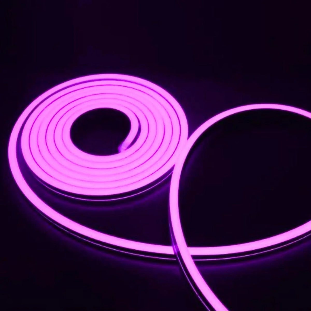 First Purple Led Mini Purple Neon Flex DC 12V 6x12mm 120LED/m IP65 Waterproof 1cm Cut ...
