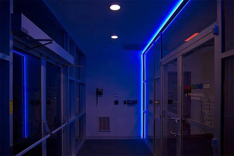 Blue LED Neon Flex 8x16mm 120LEDs/m AC 220 240V IP67 Waterproof with UK Plug - ATOM LED