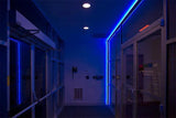 Blue LED Neon Flex AC 220V 240V 8x16mm 120LEDs/m IP65 Waterproof with UK Plug - ATOM LED