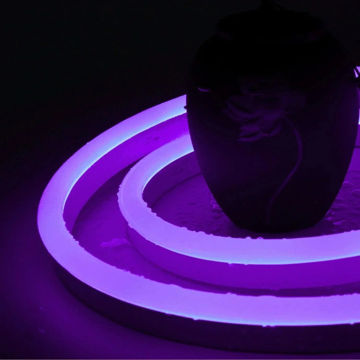 Purple LED Neon Flex 220V 240V 8x16mm 120LEDs/m IP65 Waterproof