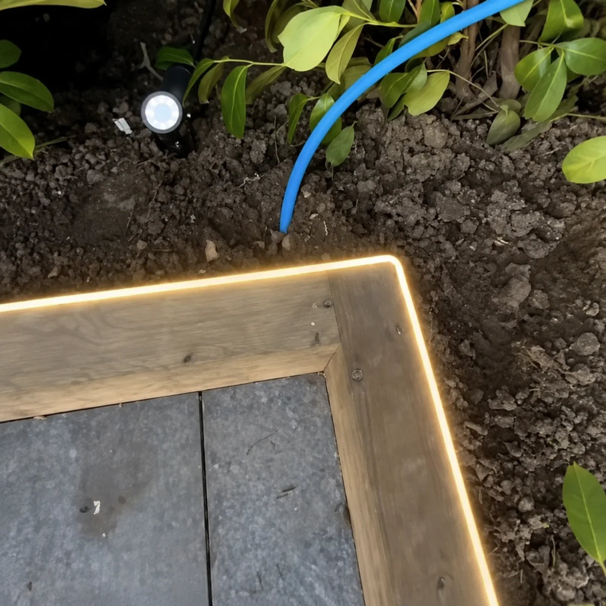 2700K side-bend Neon Flex outlining a timber garden edge, colour-adjusted installation illustration