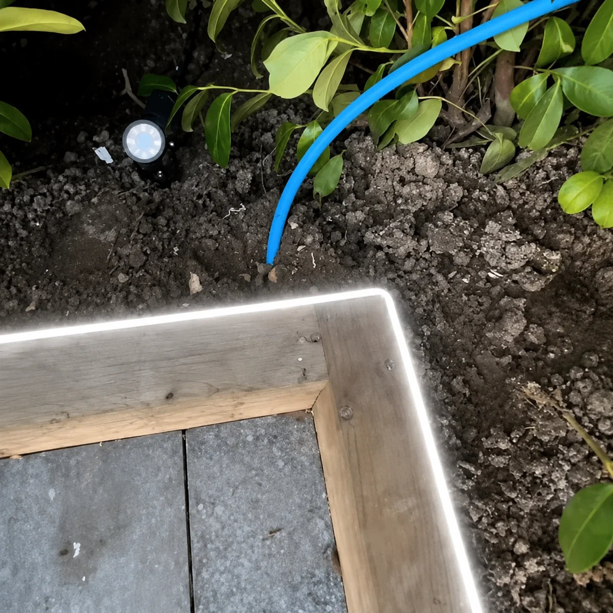 6000K side-bend Neon Flex outlining a timber garden edge, colour-adjusted installation illustration