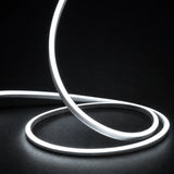 6000K side-bend Neon Flex raised in loops on a dark surface, colour-adjusted product photograph