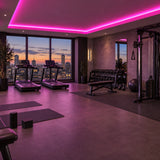 Illustrative UK LED Lights pink 8×16mm neon flex installed in gym ceiling coving