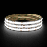 Daylight 5000K 24V 10mm COB LED strip shown illuminated in a coil on a dark background.