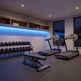 Blue SCOB LED strip lighting beneath oak storage in an evening gym with treadmills and a dumbbell rack; installation illustration.