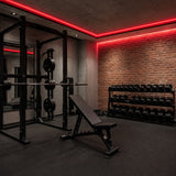 Illustrative weights gym with red SCOB LED ceiling and feature-wall accents around squat racks and a training bench